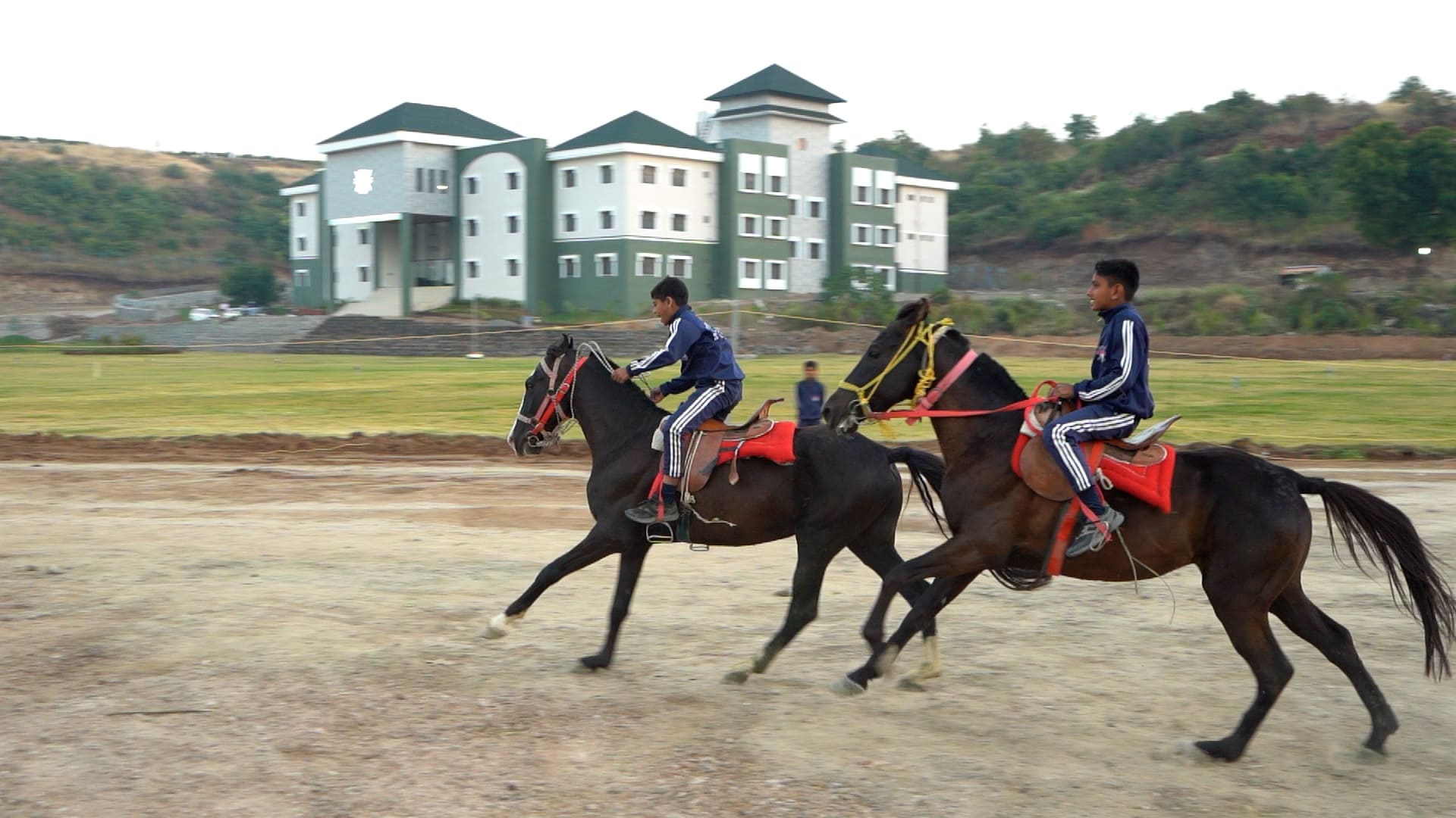 Dedicated Horse Riding Session